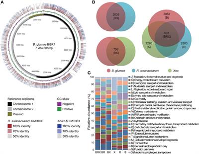 Frontiers Genome Guided Comparative In Planta Transcriptome Analyses